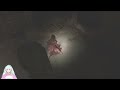 亡き妻を求め静かなる丘をゆく【silent hill 2】 5