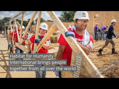 What is the purpose of Habitat for Humanity International?
