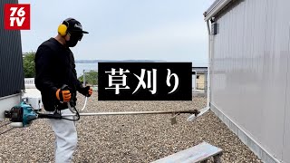 最近の事149   つかの間の草刈り