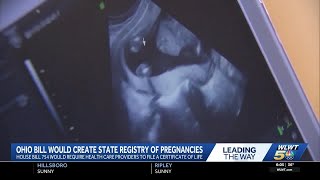 Ohio fetal life and death certificate bill faces privacy concerns