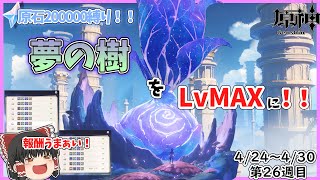 【原神】スメール探索の集大成！夢の樹のLvをMaxにする！！　　原石20万縛り第26週目！　【ゆっくり】