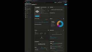 Setting Up an *arr Stack on TrueNAS Scale