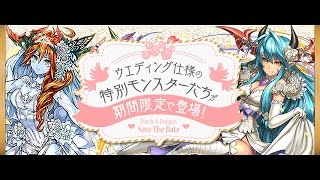 【パズドラ】－ 「ジューンブライド ガチャ」 117連