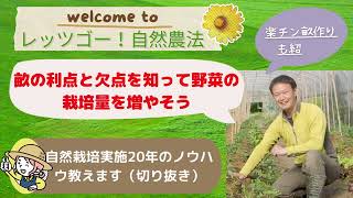 レッツゴー自然農法　”自然栽培実施20年のノウハウを教えます”（切り抜き）