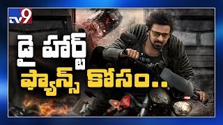 'Saaho' special for Prabhas fans || Pre Release Event @ Sunday 5 PM - TV9 Exclusive
