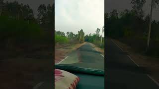 peacock found in native place #peacock #navilu #ನವಿಲು .