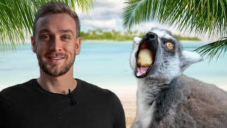 Rescue zoo -  Enrichment with the lemurs