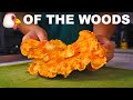 Edible shelf fungus (chicken of the woods 'mushroom')