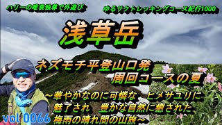 【浅草岳】ネズモチ平登山口発周回コースの夏～ハリーの唯我独尊で外遊び・ゆるサクトレッキングコース紀行１０００ー００６６ー