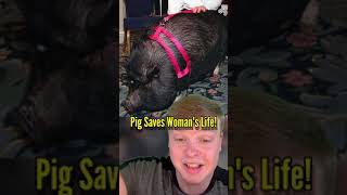 THIS PIG SAVED A WOMAN’S LIFE! 🐷🥺