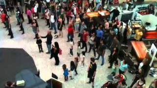 Flash Mob - Topanga Mall - Canoga Park California