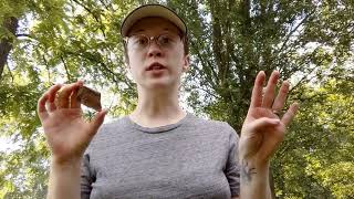 Leave No Trace Tips: Part 4 - Leave What You Find