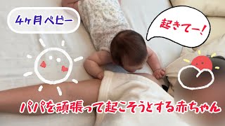 パパを頑張って起こそうとする赤ちゃん【4ヵ月ベビー】baby trying to wake daddy up