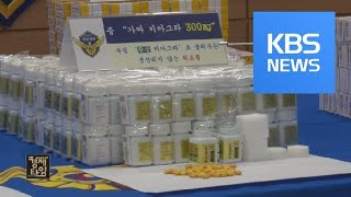수백억 원대 ‘가짜 발기부전치료제’ 밀수 조직 적발 / KBS뉴스(News)