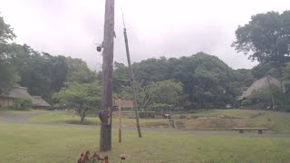 みちのく民俗村ライブ 2023.06.11 12:24