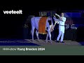 HHH-show Young Breeders 2024