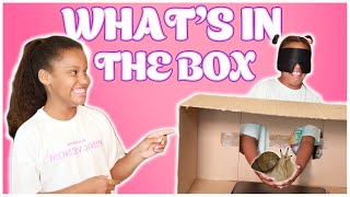 WHAT'S IN THE BOX CHALLENGE! - Ava \u0026 Mia