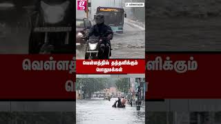 ஒரு Night மழைக்கே இவ்ளோ தண்ணியா😱 Cyclone Fengal | Chennai