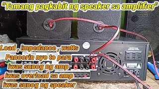 Tamang Pag kabit ng Speaker sa Amplifier na Sakura av-5024ub