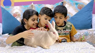 في بيتنا ارنب !!  Bunny in the kids house