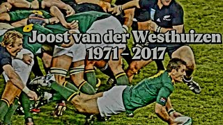 Joost van der Westhuizen Tribute : Legendary Springbok Scrum-half Rugby Player #rugby