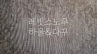 [빈티지다꾸템하울\u0026다꾸] 레빗스노우 하울 내돈내산 그리고 다꾸하기 쇼금선언 (소리있다가 없음)