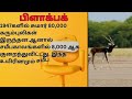 இந்தியாவின் அழிந்து வரும் 10 இனங்கள் 10 animals in india that could disappear forever