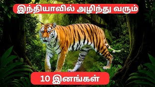 இந்தியாவின் அழிந்து வரும் 10 இனங்கள்||10 Animals in India That Could Disappear FOREVER||