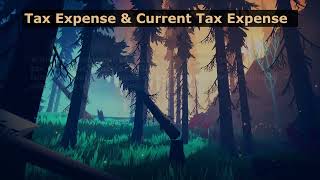 PAS 12 Part 1 Accounting for Income Taxes SCPARC