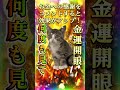 ⚠️【大金引寄せ中！】開運の猫⛩️15秒見るだけで金運成就！✨莫大な富と幸運があなたの人生に訪れる🍀 金運上昇 金運 お金 開運 運気アップ shorts 引寄せ 幸運の前兆