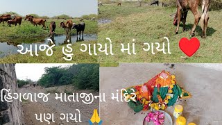 આજે હું ગાયો માં ગયો. હિંગળાજ માતાજીના મંદિરે પણ ગયો 😱♥️😱😱🙏🙏🙏🚩🚩🚩♥️😱😌😌23-2-2025