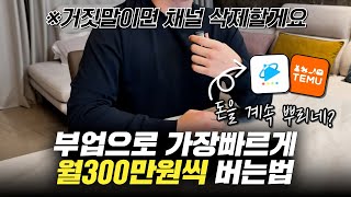 부업으로 가장 빠르게 월300만원씩 돈버는법💵l 재택 부업,직장인 투잡