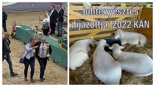 Juhtenyésztés díjazottjai 2022 – MJKSZ pavilon KÁN – prize-winning’s of sheep breeding