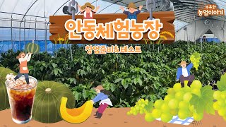 [부유한 농업 이야기] 안동 체험농장 창업 준비 \u0026 테스트