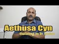 Aethusa Cynapium Explained By Dr.Sanjay