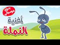 أغنية النملة بدون موسيقى  - قناة أسرتنا للأطفال