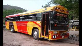 buses tuning de honduras