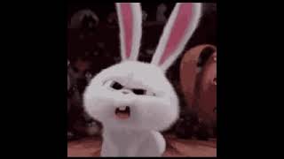 Funny Gif