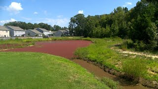 Concerns after red algae found in Union County pond