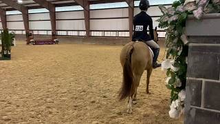 Beau Crevan - Medium Green Pony Hunters - Swan Lake 12/30/2019