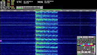 The Buzzer (4625khz) - Live