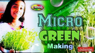 #microgreen#making #മൈക്രോഗ്രീൻ എങ്ങനെ വീട്ടിൽ വളർത്തിയെടുക്കാം