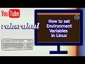 How to set Environment Variables in Linux System