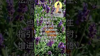 老师的话 | 慈父般的叮咛~认理实修.5