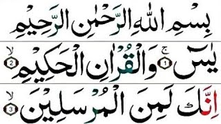 Surah Yasin | Yaseen | Morning Dua سورہ یس |Recitation Surah Ya-seen |Quran Everytime