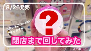 【8/26発売】お買いものパンダのガチャガチャを回しました【緊急】