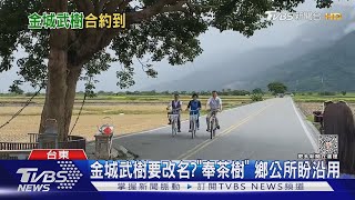 金城武樹要改名? 「奉茶樹」 鄉公所盼沿用｜TVBS新聞 @TVBSNEWS02