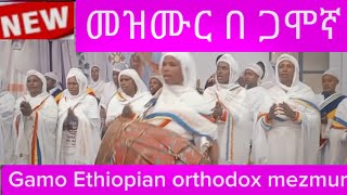 Gamo Ethiopian Orthodox Mezmur | አንፈራም አንሰጋም የኦርቶዶክስ መዝሙር በ ጋሞኛ ሲዘምሩ ተመልከቱ