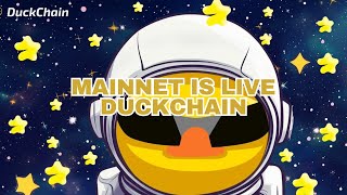 DUCKCHAIN MAINNET!!! Dapatkan Telur Untuk TGE Lebih Baik