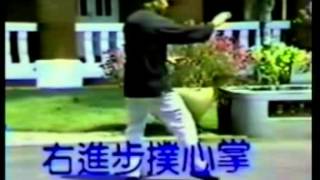 王延年楊家秘拳127式第二段 27 40)